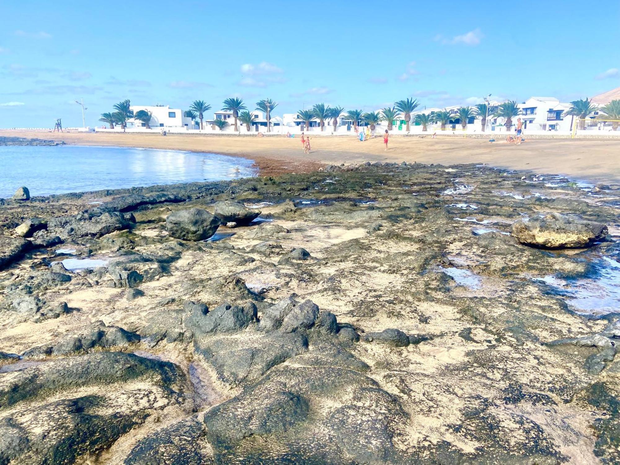 Lanzarote Mar Y Playa Lägenhet Playa Honda  Exteriör bild